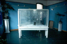 Shaheen Merali 'dig' native for empire and I